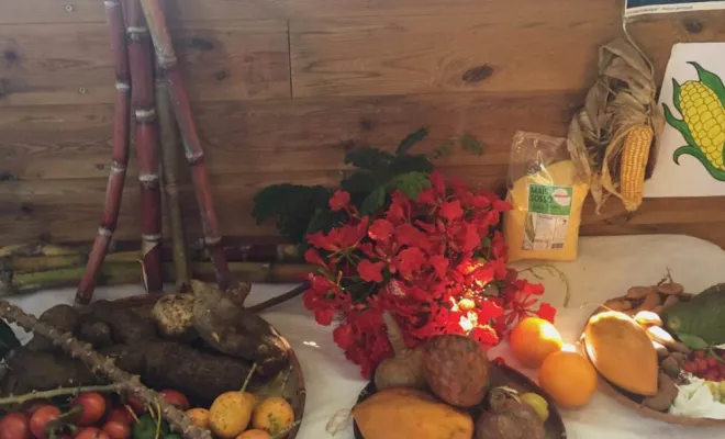 Journée créole à la micro-crèche La Chapelle à Saint-Louis, Saint-Denis, Les Petits Pas