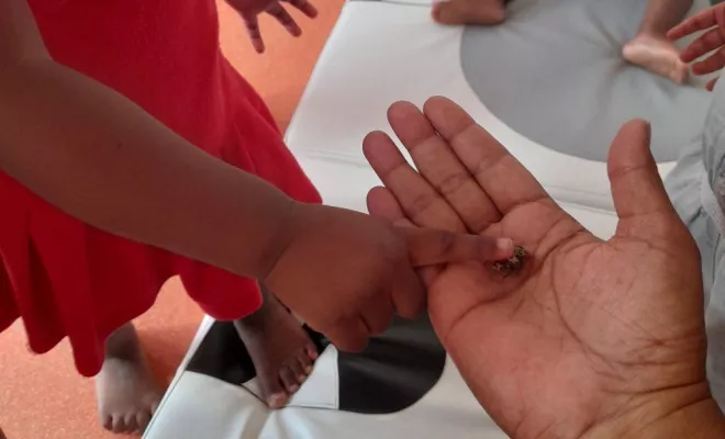 Micro-crèche La Poudrière – Les Petits Pas : Grandir à Saint-Louis, Saint-Denis, Les Petits Pas